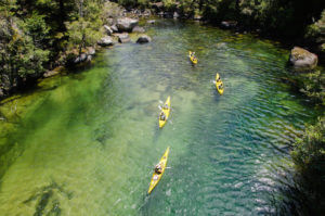 kayaking abel tasman national park