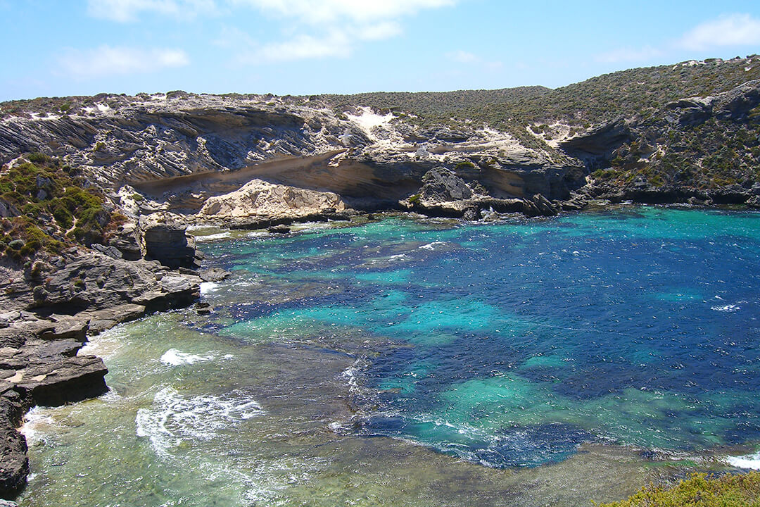 rottnest-island-perth-2