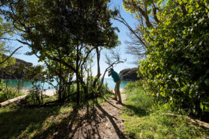 abel-tasman-national-park-nelson-miles-holden