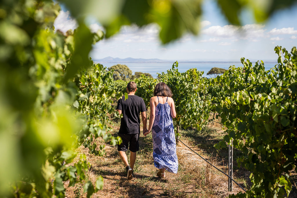 around-the-bay-in-a-day-walking-winery