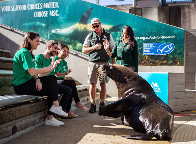 taronga zoo sydney animal encounter