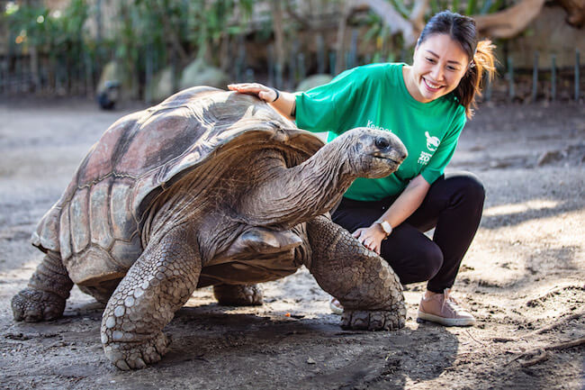 Keeper for a Day at Taronga Zoo Sydney, Australia