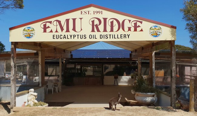 emu ridge eucaliptus oil distillery