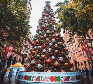 christmas tree in sydney australia