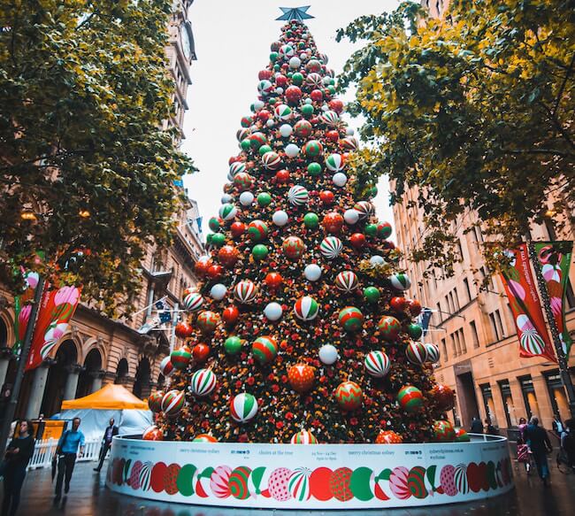 christmas tree in sydney australia