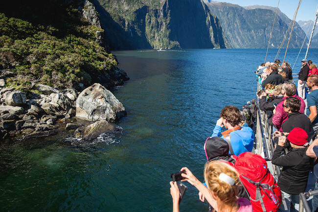 milford sound cruise real journeys