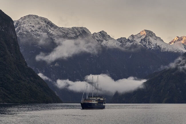 overnight cruise milford sound with real journeys