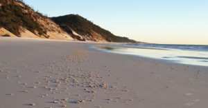 Fraser Island beach with sun sand hills and sea Australia
