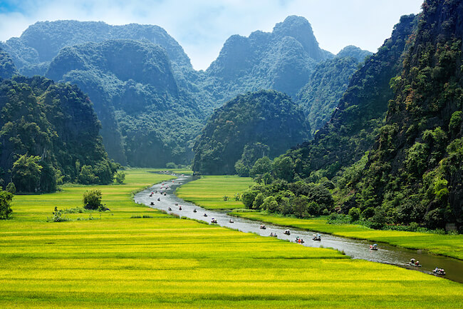 rice fields and river in vietnam