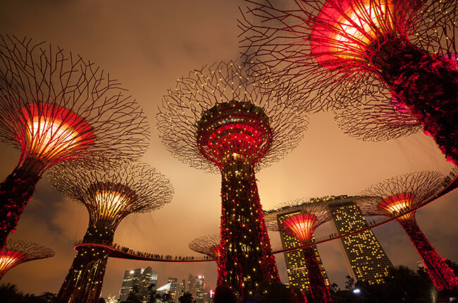 Looking up at the Gardens by the Bay tree structures lit up in deep reds, and a dark, cloud-covered sky