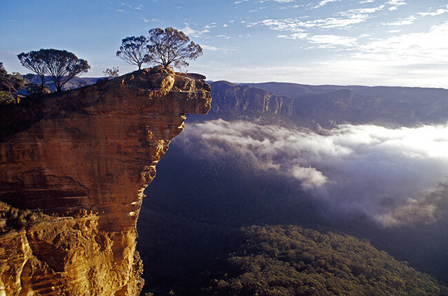 Dramatic overhanging cliff in the Blue Mountain range, with two trees perched atop of the cliff