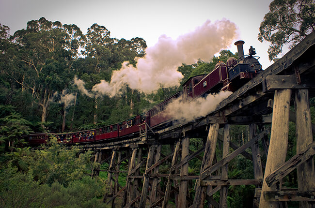 Puffing billy suspended on an old bridge with tourists hanging out of the side taking photos - surrounded by steam and dense forest