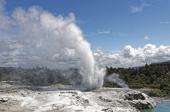 Geyser breaching the grey rocks at Rotorua in New Zealand - Lush green forest in background