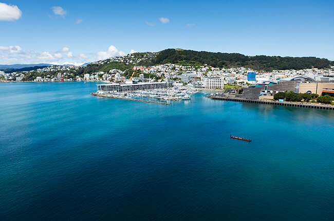 Aerial view of the harbour of Wellington, with the city in the distance