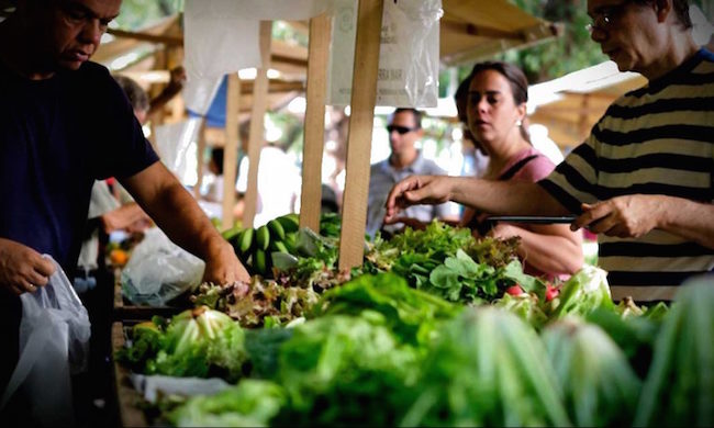 organic food market durban