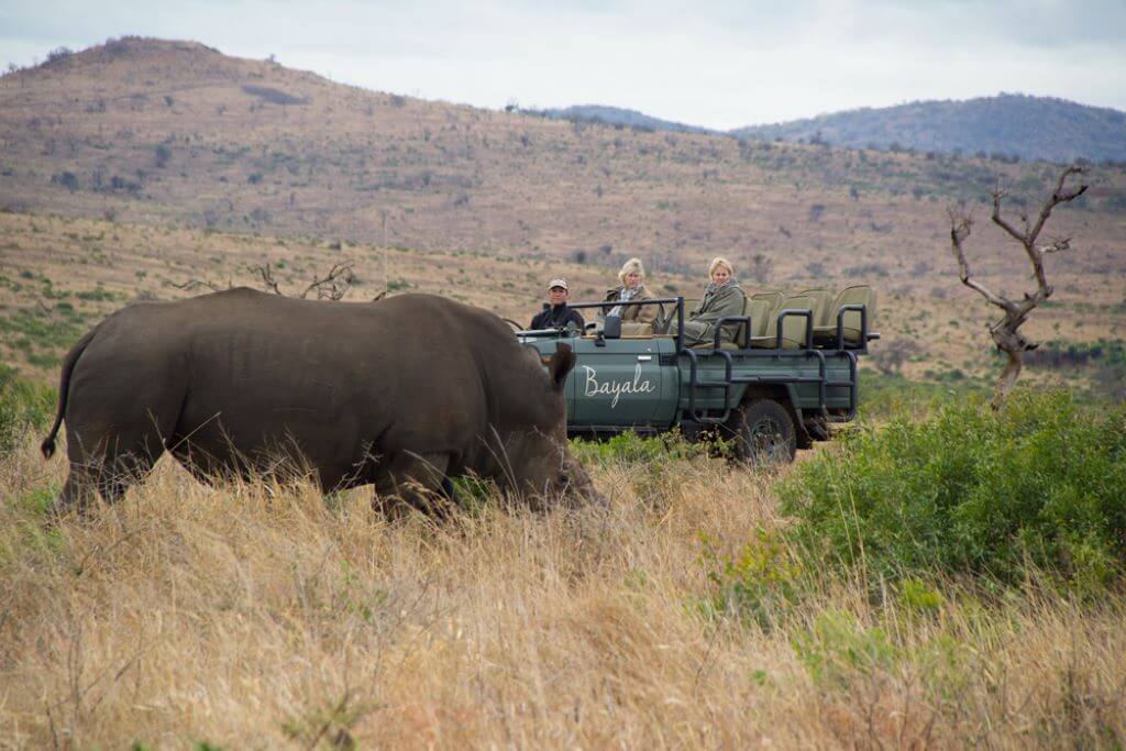 South Africa_Bayala_Safari