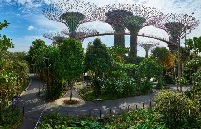 Inside Gardens by the Bay in Singapore
