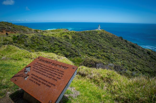 rail tour new zealand