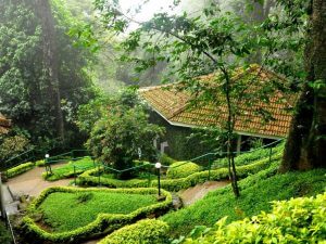 Garden view of The Tall Trees hotel in Munnar