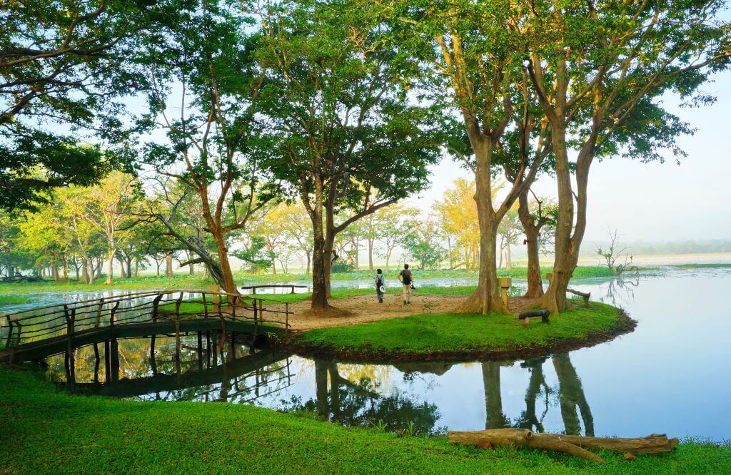 Sri Lanka_Habarana_Cinnamon Lodge_Habarana Lake