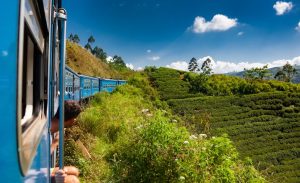 Train from Kandy to Nuwara Eliya