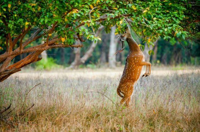 the grand tour india