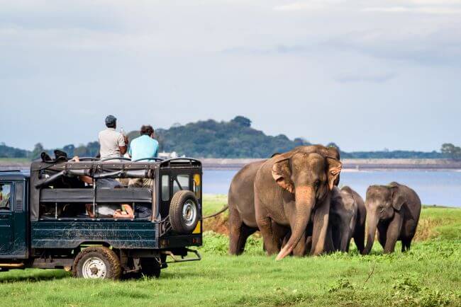 tours of sri lanka 2022