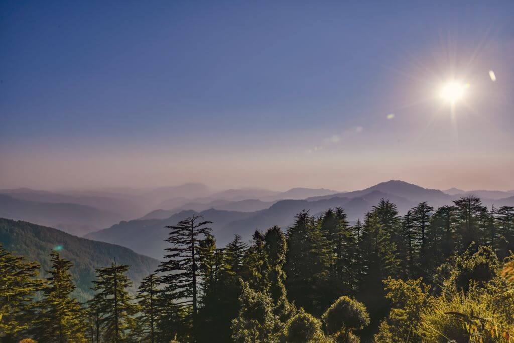 landscape view of forest and misty mountains with sun in Shimla India