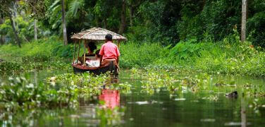 boat sailing through Kerala backwaters