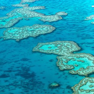 aerial view of Great Barrier Reef coral