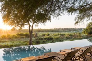 Protea Marriott Kruger Gate pool deck with elephant in background