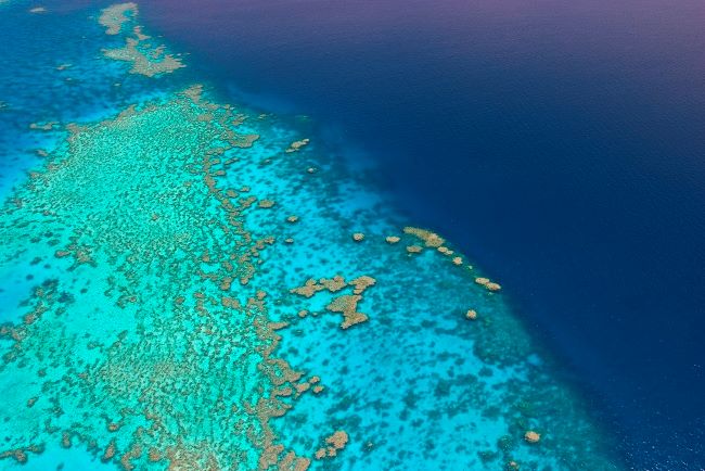 Aerial view of Coral reef over the Great Barrier reef