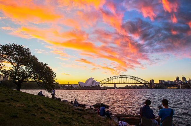 View of Sydnet harbour from the Botanical Gardens at sunset