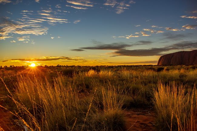 Sun rising at Uluru with view across grassland to the rock