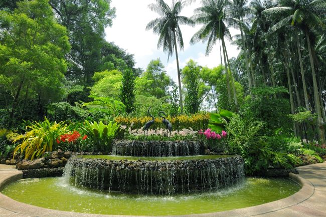 Singapore Botanical Garden water display with flowers and trees in background 