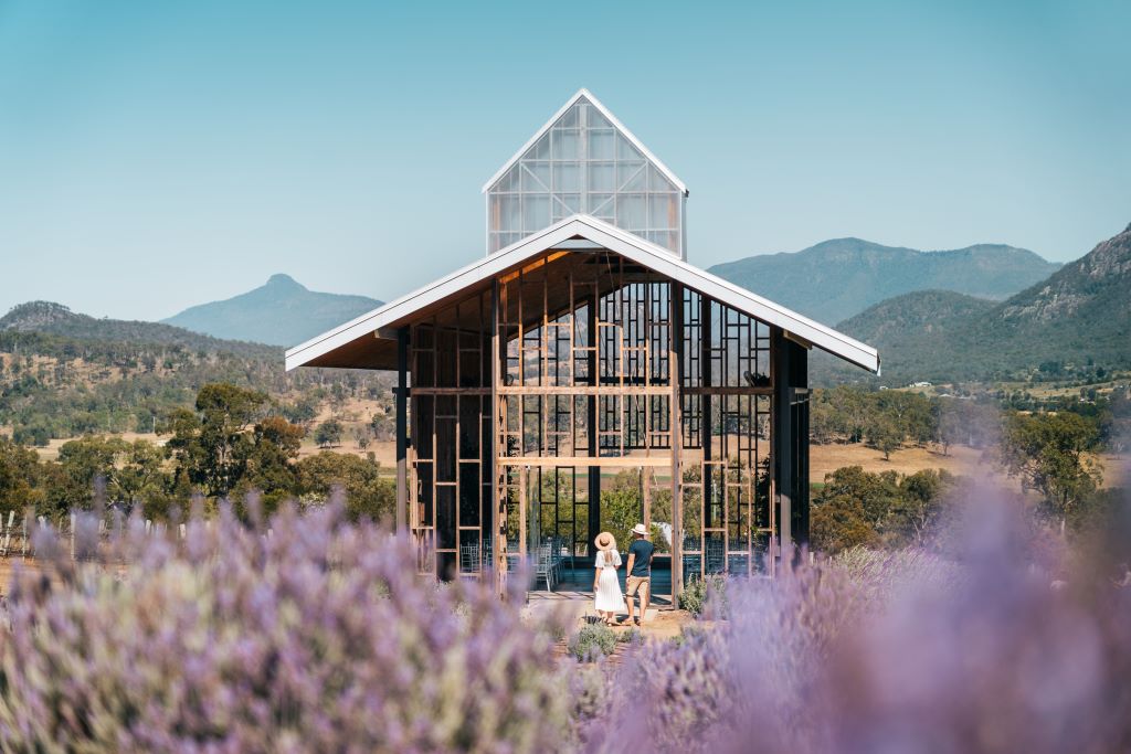 Australia_Freedom Day_Brisbane_Scenic Rim_Lavender field