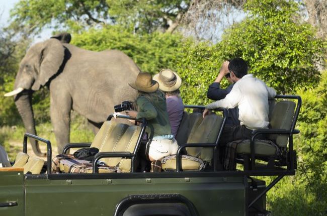 tourists in Safari vehicle viewing an elephant