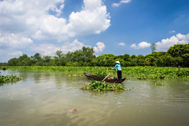 Local Vietnamese lady steering boat on the Mekong Delta, An-Giang, Vietnam