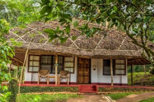 Cottage accommodation in the Spice Village Thekkady