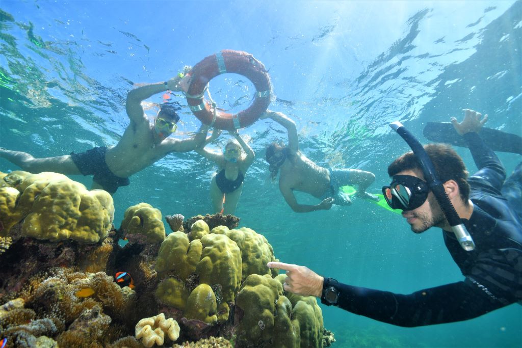 Australia_FD_Great Barrier Reef_Snorkel Tour