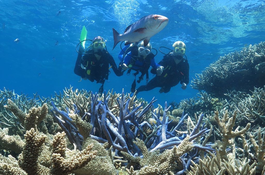 Two learner divers with guide experiencing the underwater waters of the Great Barrier Reef off the coast of Cairns in Australia