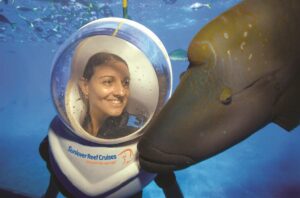 Lady up close to a Maori Wasse on a Helmet Dive on the Great Barrier Reef