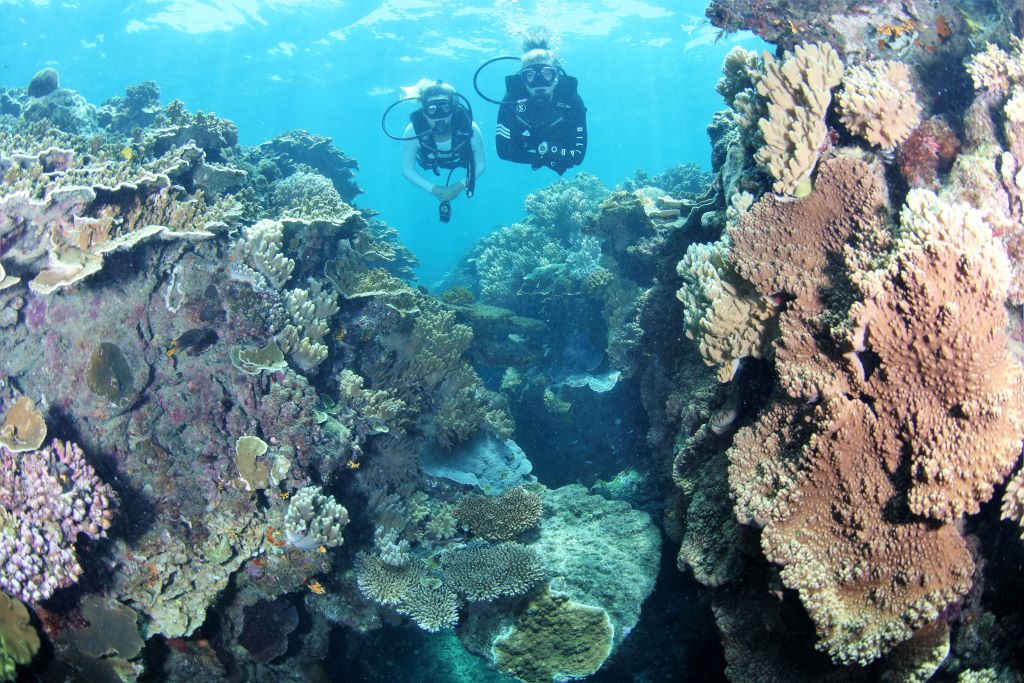 Australia_FD_Great Barrier Reef_Certified Divers