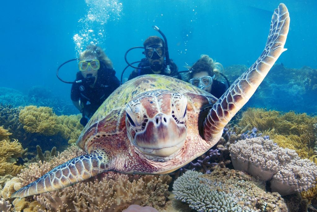 Australia_FD_Great Barrier Reef_Introductory Divers