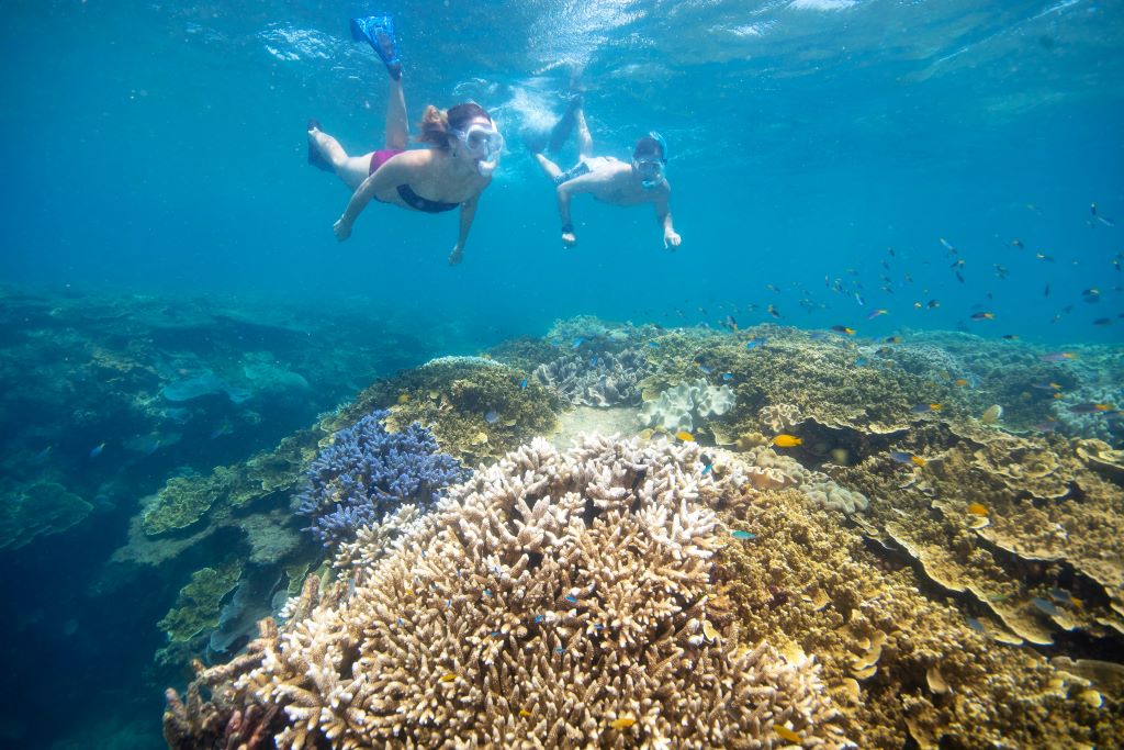 Australia_FD_Great Barrier Reef_Snorkelling