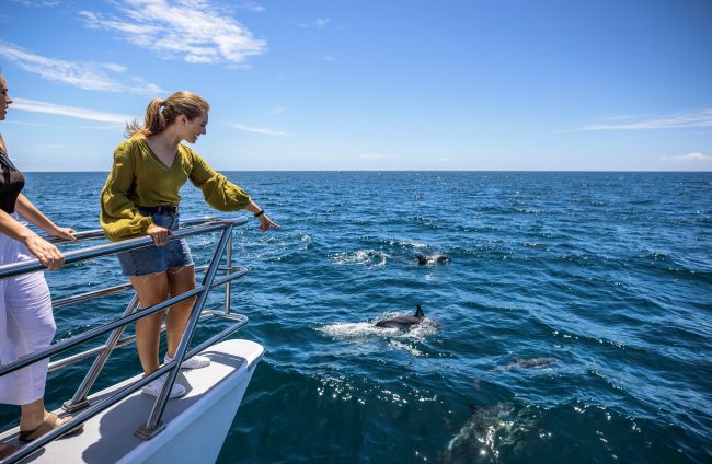 Lady looking out at dolphins swimming beside the boat in the Hauraki Guld, Auckland, New Zealand