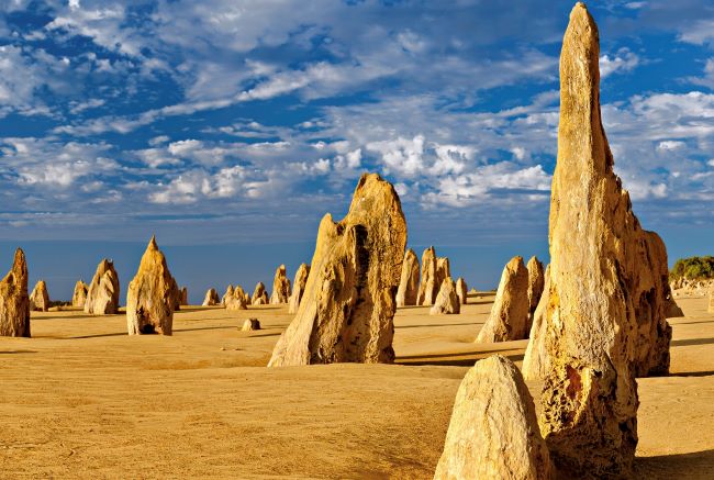Limestone Pillars towering out from the desert, knownas the Pinnacles, in Namburg National Park, Western Australia