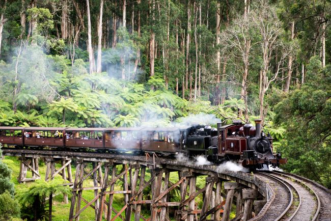 Puffing Billy Steam train in the Dandenong Ranges, Victoria, Australia