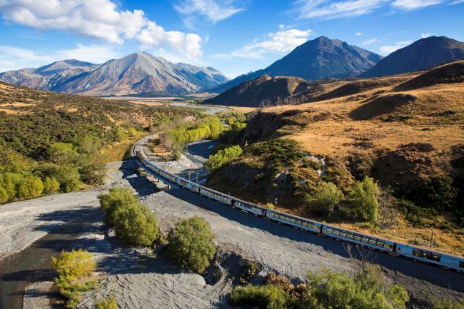 Famous TranzAlpine train travelling through the Canterbury Plains