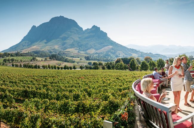 Group of friends wine tasting in Cape Winelands, South Africa